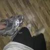 Toma zona.napoli - @toma.zona.napoli - TikTok