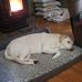 Tom Nason - Facebook