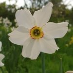 Tom Nason - @mrtomsk78 - Instagram
