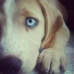 Tom Neil - @tomneil65 - Instagram