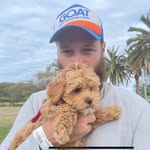 Tom Neilson - @tomneilson84 - Instagram