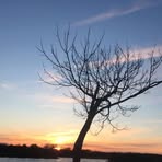 Tom Nemeth - Facebook