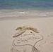 Thomas Netzer - Facebook