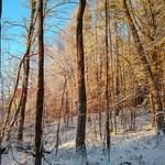 Tom Nevins' art and photos - @artofthenevins - Instagram