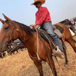Tommy Newbill - @tommy.newbill - Instagram