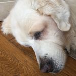 Tom Newell - @tomnewell08 - Instagram