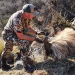 Tom Newell - @southern_alps_hunter - Instagram