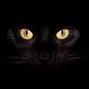 Tom Nicholas - @tom.nicholas82 - TikTok