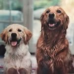 Lynn Demirjian - @tomnick - Instagram