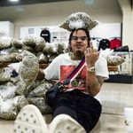 Tom Niro - @tomniro420 - Instagram