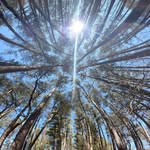 Tom Nolen - @nolen_tom - Instagram