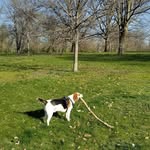 Tom Noll - @hawkia50311 - Instagram