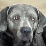 Tom noll - @noll_tom - Instagram
