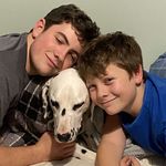 Tom Normile - @tom.normile - Instagram