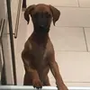 Tom Nowak - @13tommy - TikTok