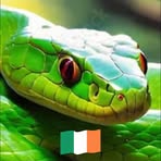 Tom O'Neill - Facebook