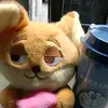🐾🌹🦋o_o🦋🌹🐾 - @tomorr300 - TikTok