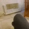 Tom Orr - @tom.orr7 - TikTok