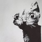 Tom Orton - @to_mat_o_drawing - Instagram