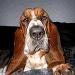 Tom Parent - @parent_tom - Instagram
