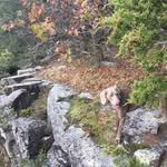 @tomparenteau6561 - Instagram