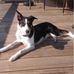 Tom Parish - Facebook