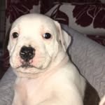 Tom Parnell - @tom.parnell.714 - Instagram