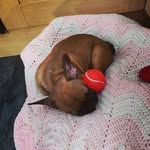 Tom Parnell - @tom.parnell.9085 - Instagram