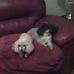 Tom Parrott - Facebook