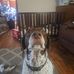 Thomas Passmore - Facebook