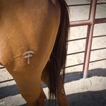 Tom Passmore - @trinityland - Instagram