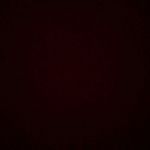 Tom pastore - @pastoretom - Instagram