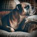 Tom Pearson - Facebook