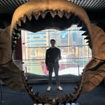 Tom Pederson - @thomaspederson404 - Instagram
