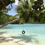 Tom Pelton - @pelton_tom - Instagram