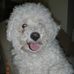 Tom Pemberton - Facebook