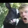 Tompembertonfarmlife.fan - @tompembertonfarmlife.fan - TikTok