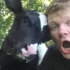 tom.pemberton.ytb__ - @tom.pemberton.fanr - TikTok