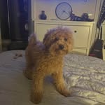 Tom Pepper - @tom_pepper_67 - Instagram