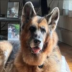 Tom Perry - @eaglecliff67 - Instagram