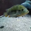 Person Tom - @person.tom0 - TikTok