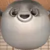 ThomasP - @tomperson - TikTok