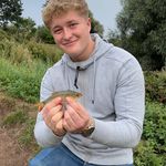 Tom Pickard - @tom.pickard2003 - Instagram