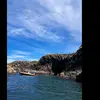tommy tickle - @tommyticklepickle1 - TikTok