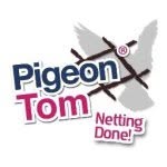 Pigeon Tom - @pigeontom - Instagram