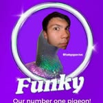 Pigeon Tom - @funkypigeon.tom - Instagram