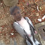 The Real Pigeon Tom - @pigeon.tom - Instagram