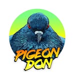 Tomas Pigeon - @pigeondon - Instagram