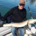Tom Plunkett - @plunkettrods - Instagram