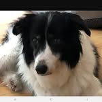 Tom Poland - @polandtom - Instagram